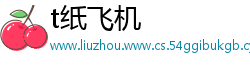 t纸飞机